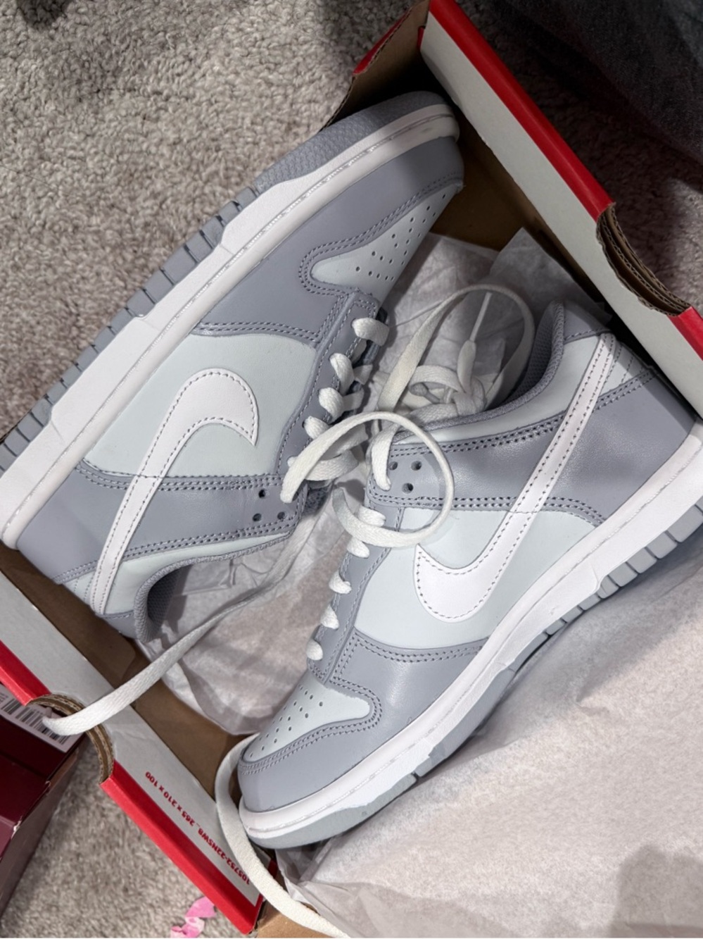 Nike Low-Top  Sneakers in Light Gray & White